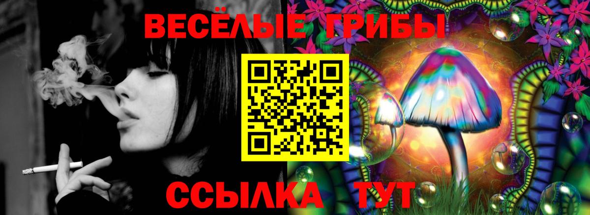Галлюциногенные грибы мицелий  Вход с VPN  Аша 
